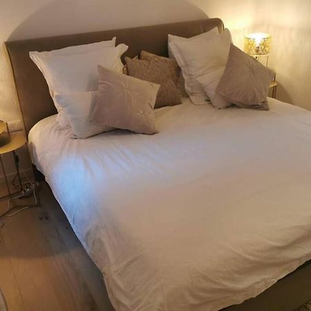Magnifique F3, 75M² Avec Parking Prive Et Terrasse Daire Strazburg Dış mekan fotoğraf