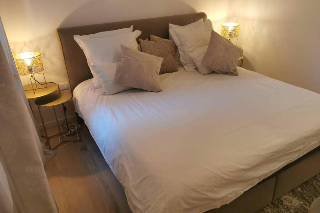 Magnifique F3, 75M² Avec Parking Prive Et Terrasse Daire Strazburg Dış mekan fotoğraf