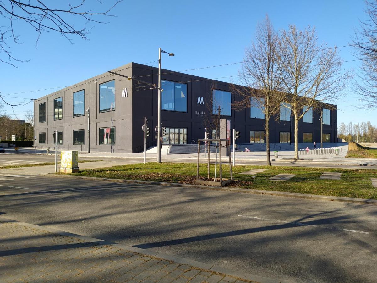 Magnifique F3, 75M² Avec Parking Prive Et Terrasse Daire Strazburg Dış mekan fotoğraf